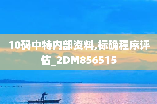 10码中特内部资料,标确程序评估_2DM856515