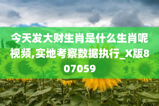 今天发大财生肖是什么生肖呢视频,实地考察数据执行_X版807059