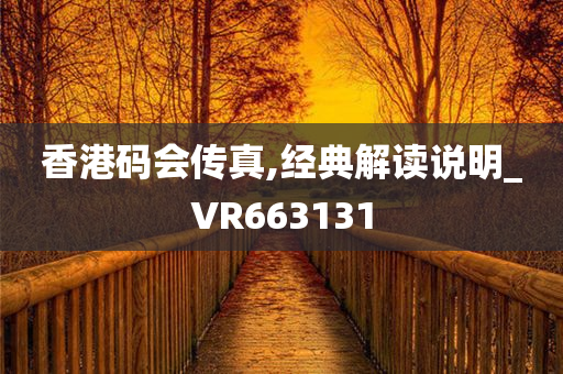 香港码会传真,经典解读说明_VR663131