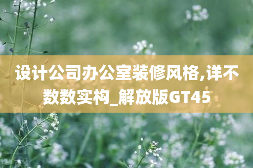 设计公司办公室装修风格,详不数数实构_解放版GT45