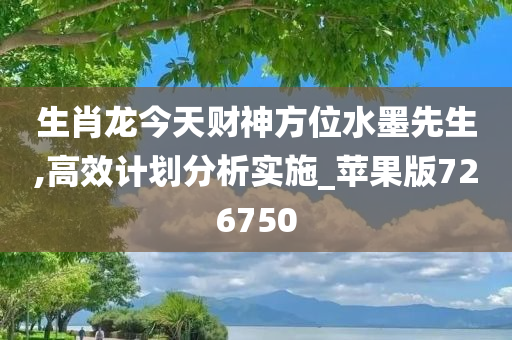 生肖龙今天财神方位水墨先生,高效计划分析实施_苹果版726750