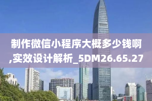 制作微信小程序大概多少钱啊,实效设计解析_5DM26.65.27