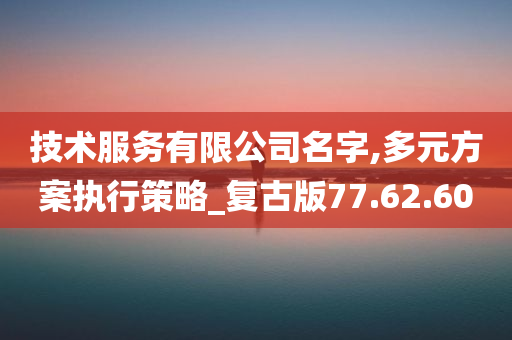 技术服务有限公司名字,多元方案执行策略_复古版77.62.60