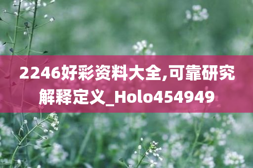 2246好彩资料大全,可靠研究解释定义_Holo454949