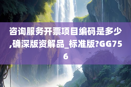 咨询服务开票项目编码是多少,确深版资解品_标准版?GG756