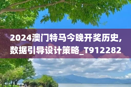 2024澳门特马今晚开奖历史,数据引导设计策略_T912282