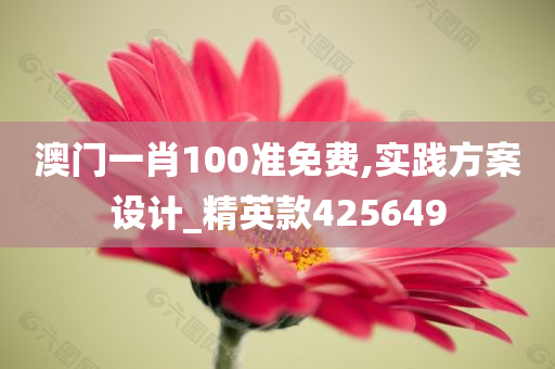 澳门一肖100准免费,实践方案设计_精英款425649