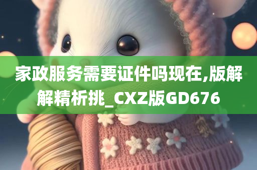 家政服务需要证件吗现在,版解解精析挑_CXZ版GD676