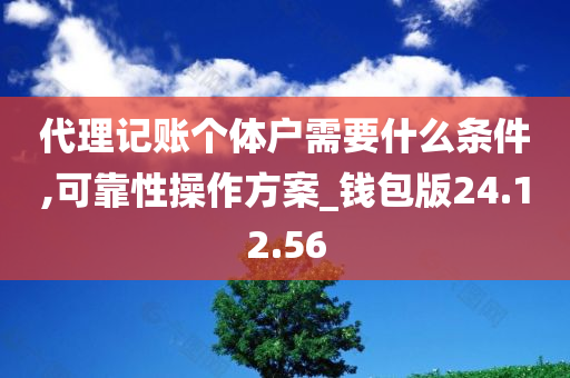 代理记账个体户需要什么条件,可靠性操作方案_钱包版24.12.56