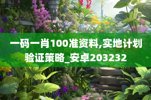 一码一肖100准资料,实地计划验证策略_安卓203232