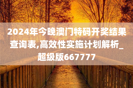 2024年今晚澳门特码开奖结果查询表,高效性实施计划解析_超级版667777