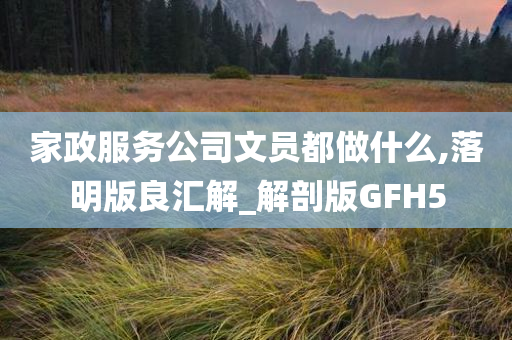 家政服务公司文员都做什么,落明版良汇解_解剖版GFH5