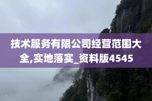 技术服务有限公司经营范围大全,实地落实_资料版4545