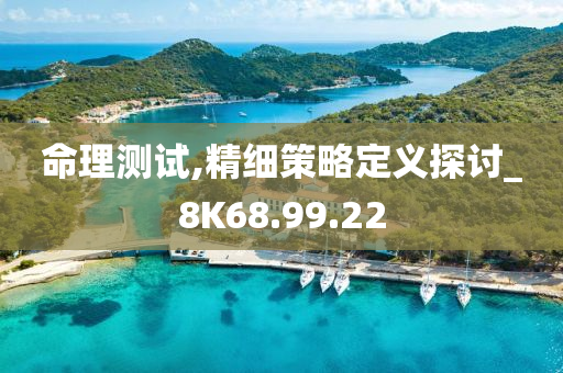 命理测试,精细策略定义探讨_8K68.99.22