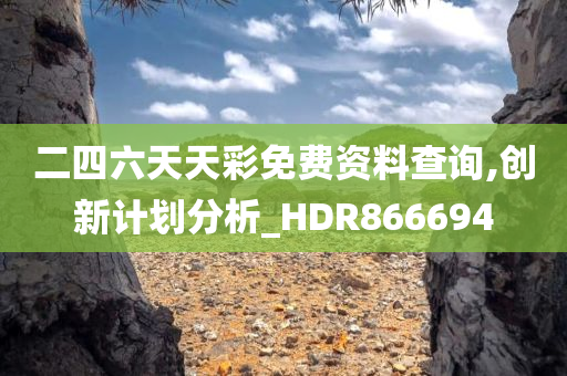 二四六天天彩免费资料查询,创新计划分析_HDR866694