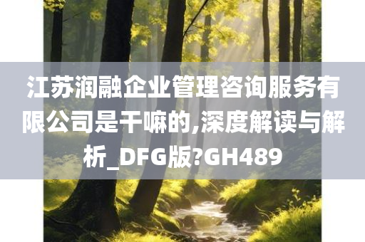 江苏润融企业管理咨询服务有限公司是干嘛的,深度解读与解析_DFG版?GH489