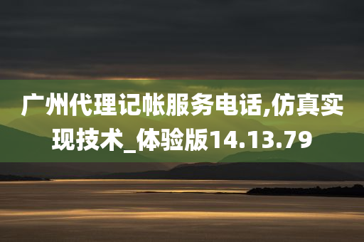 广州代理记帐服务电话,仿真实现技术_体验版14.13.79