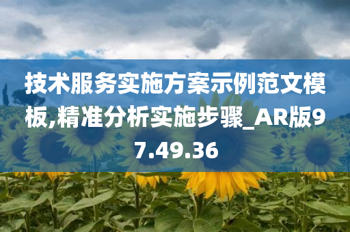 技术服务实施方案示例范文模板,精准分析实施步骤_AR版97.49.36