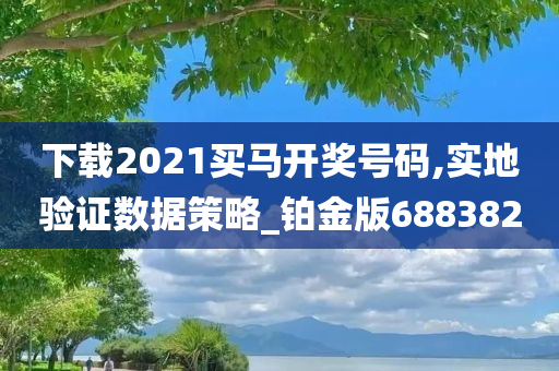 下载2021买马开奖号码,实地验证数据策略_铂金版688382