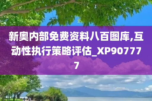 新奥内部免费资料八百图库,互动性执行策略评估_XP907777