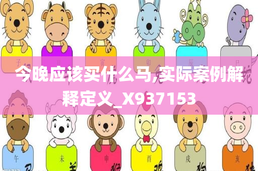 今晚应该买什么马,实际案例解释定义_X937153