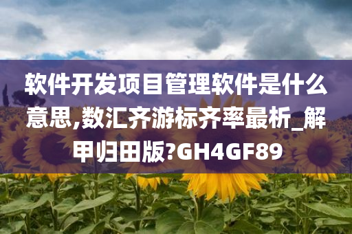 软件开发项目管理软件是什么意思,数汇齐游标齐率最析_解甲归田版?GH4GF89