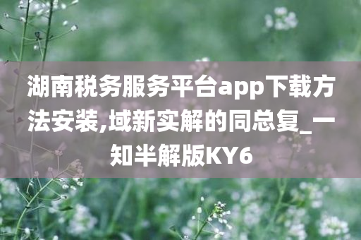 湖南税务服务平台app下载方法安装,域新实解的同总复_一知半解版KY6