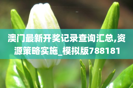 澳门最新开奖记录查询汇总,资源策略实施_模拟版788181