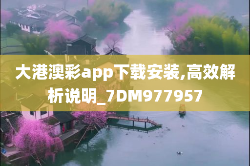 大港澳彩app下载安装,高效解析说明_7DM977957