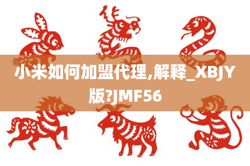 小米如何加盟代理,解释_XBJY版?JMF56