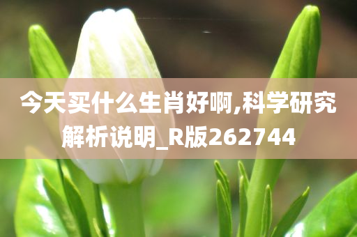 今天买什么生肖好啊,科学研究解析说明_R版262744