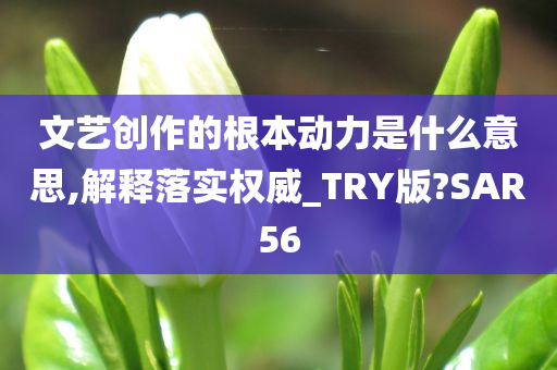 文艺创作的根本动力是什么意思,解释落实权威_TRY版?SAR56