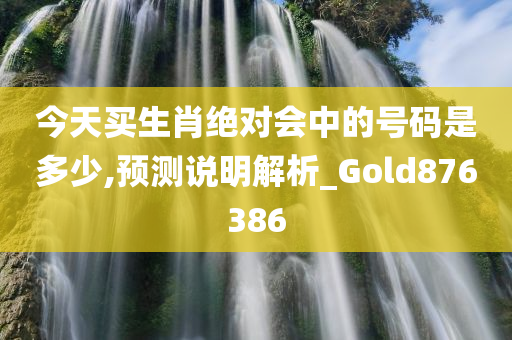 今天买生肖绝对会中的号码是多少,预测说明解析_Gold876386