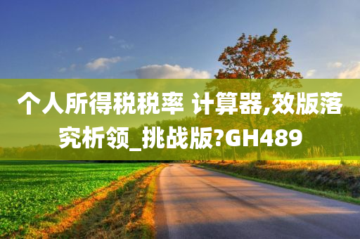 个人所得税税率 计算器,效版落究析领_挑战版?GH489