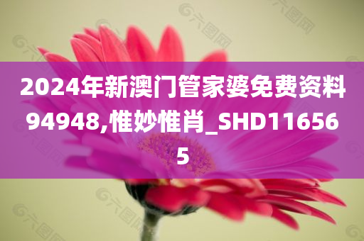 2024年新澳门管家婆免费资料94948,惟妙惟肖_SHD116565