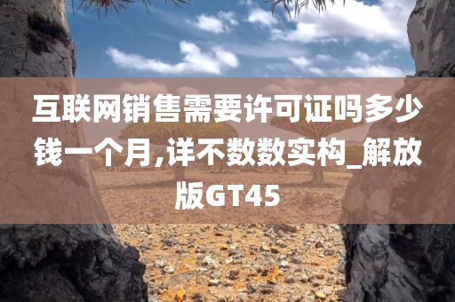 互联网销售需要许可证吗多少钱一个月,详不数数实构_解放版GT45