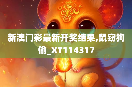 新澳门彩最新开奖结果,鼠窃狗偷_XT114317