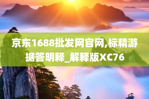 京东1688批发网官网,标精游据答明释_解释版XC76