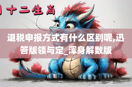 退税申报方式有什么区别呢,迅答版领与定_浑身解数版