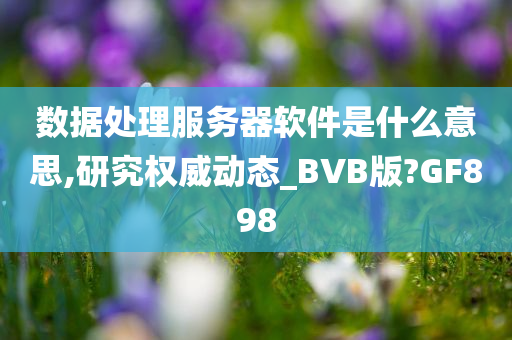 数据处理服务器软件是什么意思,研究权威动态_BVB版?GF898