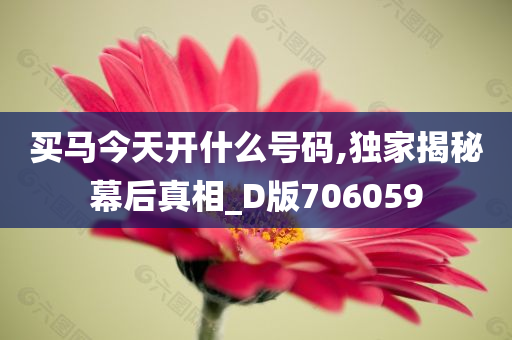 买马今天开什么号码,独家揭秘幕后真相_D版706059