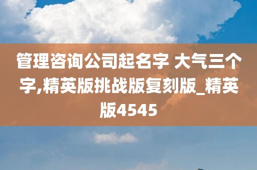 管理咨询公司起名字 大气三个字,精英版挑战版复刻版_精英版4545