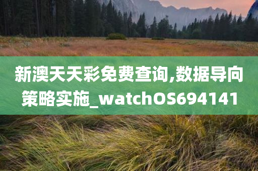 新澳天天彩免费查询,数据导向策略实施_watchOS694141