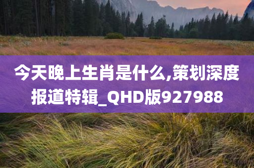 今天晚上生肖是什么,策划深度报道特辑_QHD版927988