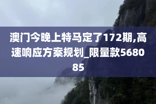 澳门今晚上特马定了172期,高速响应方案规划_限量款568085