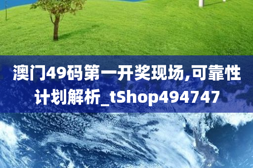 澳门49码第一开奖现场,可靠性计划解析_tShop494747