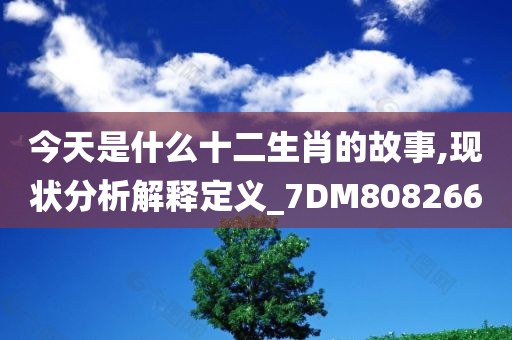 今天是什么十二生肖的故事,现状分析解释定义_7DM808266