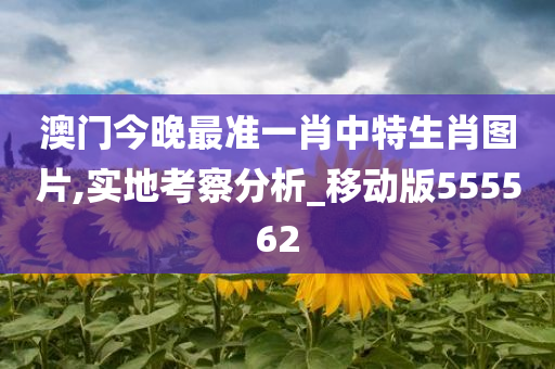 澳门今晚最准一肖中特生肖图片,实地考察分析_移动版555562