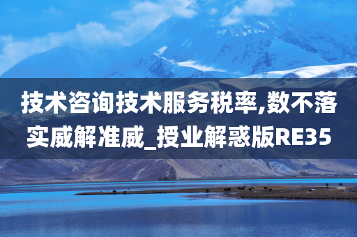 技术咨询技术服务税率,数不落实威解准威_授业解惑版RE35