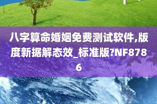 八字算命婚姻免费测试软件,版度新据解态效_标准版?NF8786